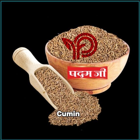 Cumin Seeds