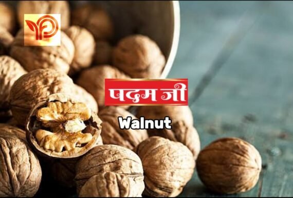 Walnut