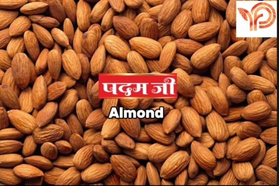 Almond
